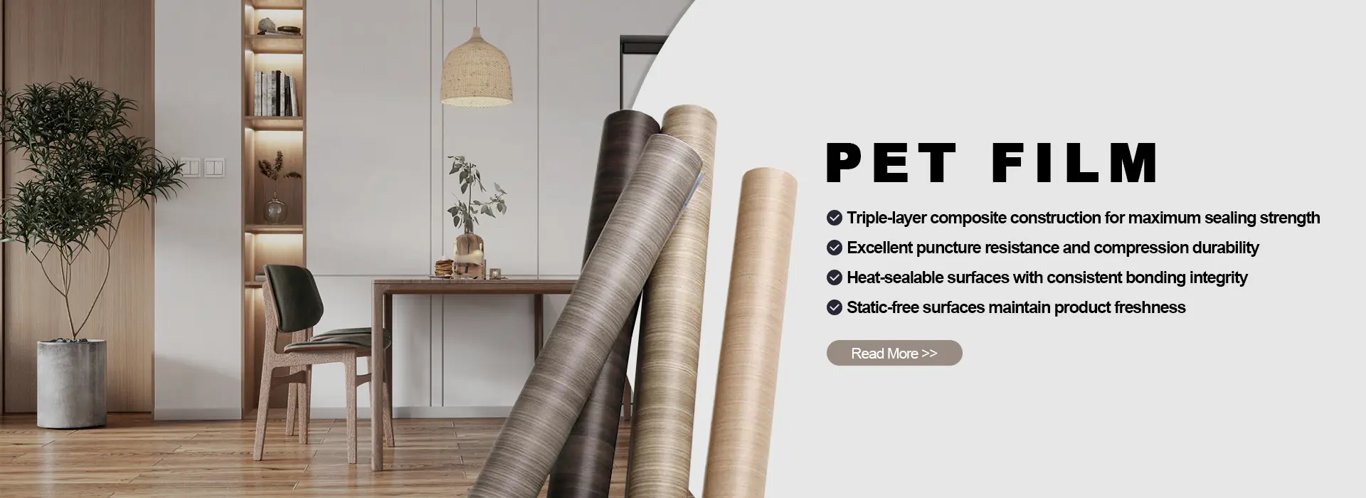 中国のペット映画メーカー